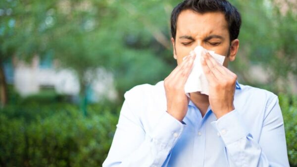 Απαλλάξου από τις ανοιξιάτικες αλλεργίες 6 allergies anoixi