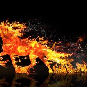 running horse on fire