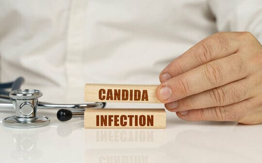 Μύκητες των γεννητικών οργάνων 2 candida