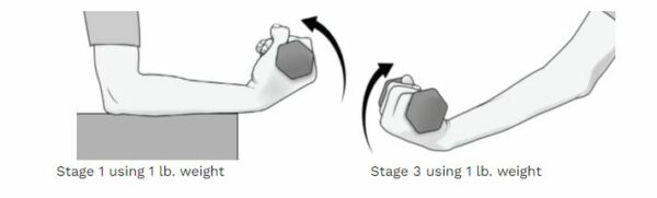 4 wrist flexion stengthening