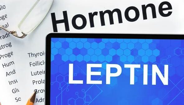 leptin
