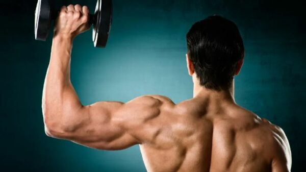 Ασκήσεις για ώμους 9 shoulders