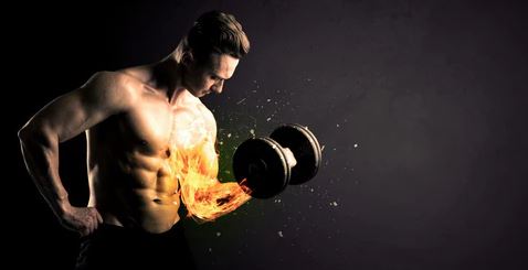 lactic acid muscle