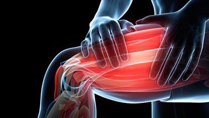 lactic acid muscles