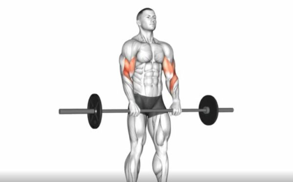 2 reverse curl