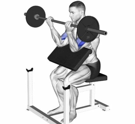 5 preacher curl