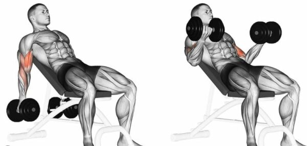6 incline curl