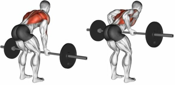 9 reverse grip bent row