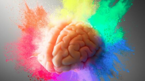 dopamine