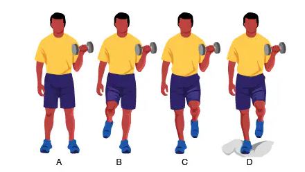 5 ασκήσεις ισορροπίας 4 3 bicep curls for balance