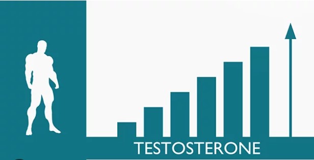 ayxisi testosteronis trivoli