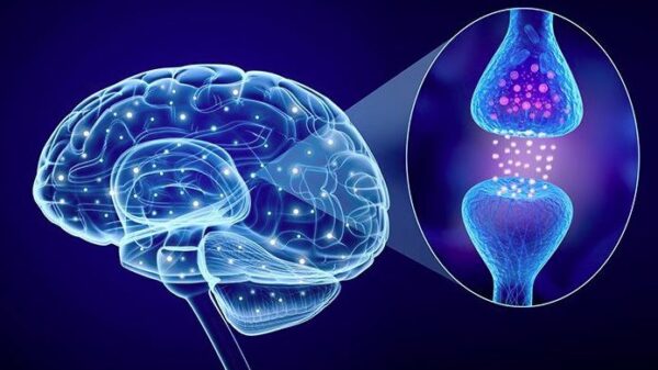 serotonin