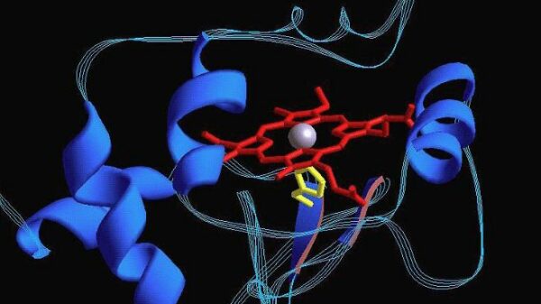 Aμινοξέα τι είναι 10 amino acids