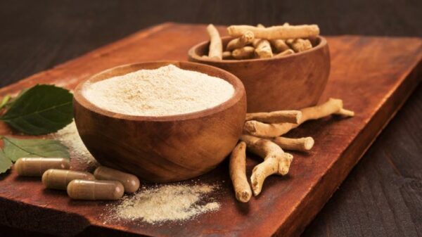 Η Ashwagandha και τα εκπληκτικά οφέλη για τον οργανισμό μας 10 ashwagandha