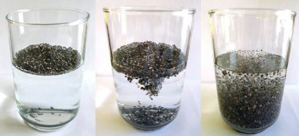 Σπόροι chia: Δείτε τι πρέπει να προσέχετε 2 chia seeds water