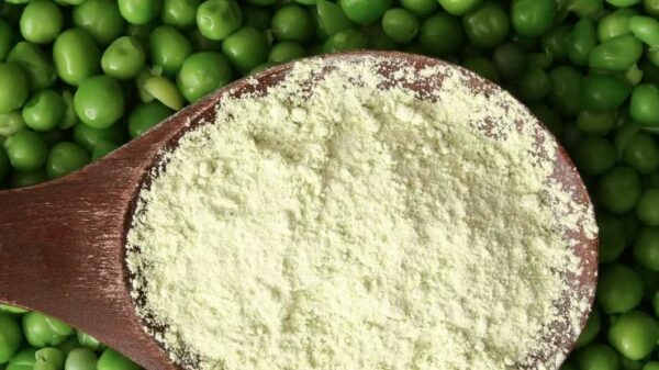 Πρωτεΐνη αρακά σκόνη 6 pea protein