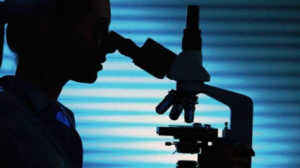 Αυξημένα λεμφοκύτταρα πάνω απο 48 τι φταίει 9 lymphocyte test