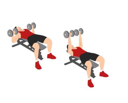 3 bench press
