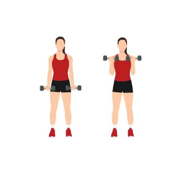 7 bicep curls