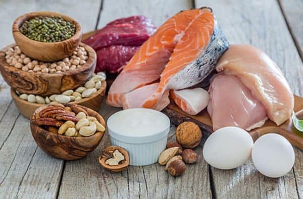 protein foods