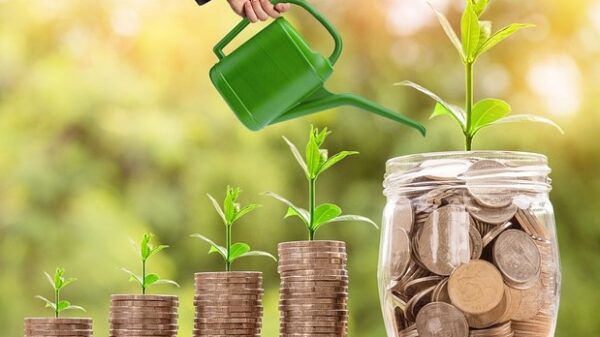 grow money