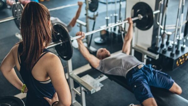 muscle groups workout